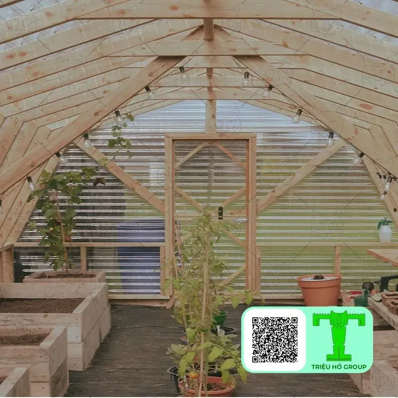 Bên trong nhà kính khung gỗ lợp tấm lấy sáng
