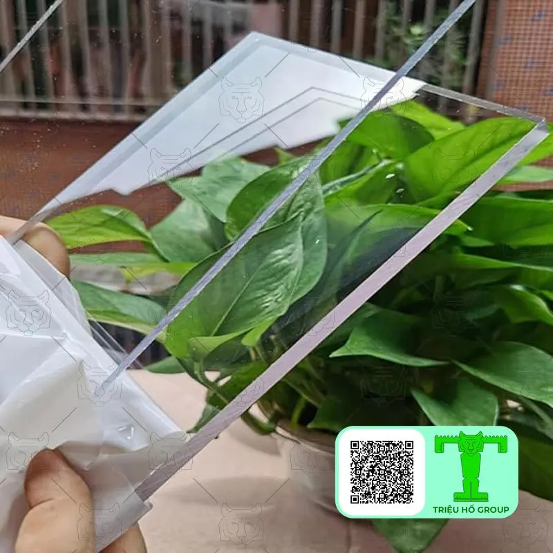 Tấm poly đặc ruột trong suốt cắt mẫu